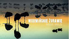 „Grus grus. Warmińskie Żurawie”. Wystawa Andrzeja „Szczurka” Waszczuka w Dywitach „Grus grus. Warmińskie Żurawie”. Wystawa Andrzeja „Szczurka” Waszczuka w Dywitach